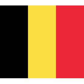 Meridian Zero Belgium Courtesy Flag - 30 x 45cm