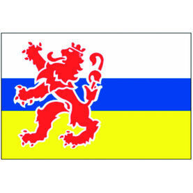Talamex Limburgse Flag (30cm x 45cm)