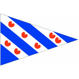 Talamex Frisian Triangle Pennant Flag (20cm x 30cm)