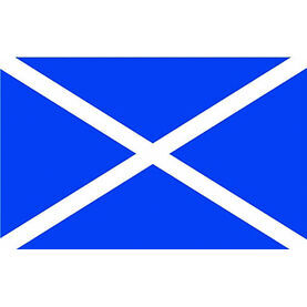 Talamex Scotland Flag (30cm x 45cm)
