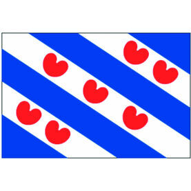 Talamex Frisian Flag (20cm x 30cm)