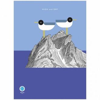 Nauticalia High &amp; Dry Dish Cloth