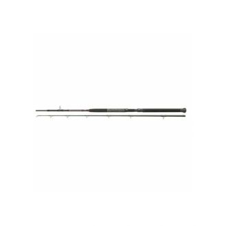 PENN Prevail II 20-30lb Boat Rod
