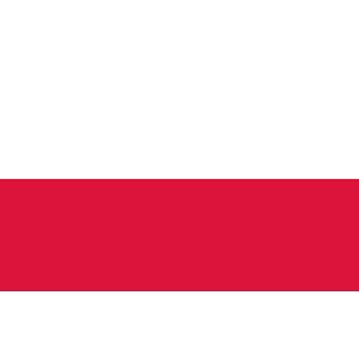 Meridian Zero Poland Courtesy Flag - 30 x 45cm