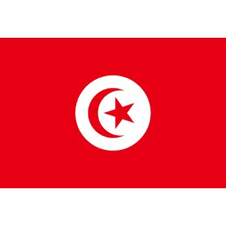 Meridian Zero Tunisia Courtesy Flag - 30 x 45cm