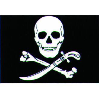 Talamex Pirate Flag (30cm x 45cm)