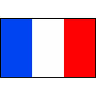 Talamex France Courtesy Flag