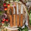 Opinel Olive Wood 4pc Kitchen Knife Set additional 3