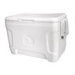 Plastimo Igloo® Marine Contour Ice Chest (23L) additional 1