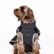 Pelle Petterson Commodus Dog Coat additional 4