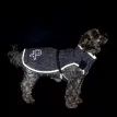 Pelle Petterson Commodus Dog Coat additional 5