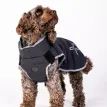 Pelle Petterson Commodus Dog Coat additional 6