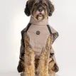 Pelle Petterson Commodus Dog Coat additional 1