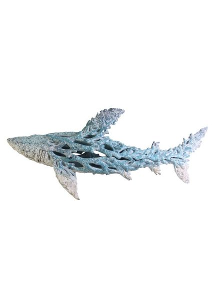 Shark Coral Creatures