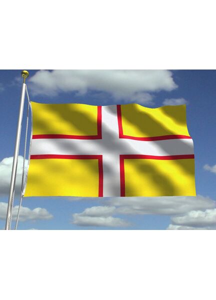 Meridian Zero Dorset Courtesy Flag - 30cm x 45cm