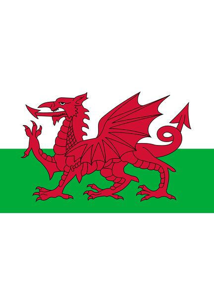 Meridian Zero Welsh Dragon Courtesy Flag - 30 x 45cm