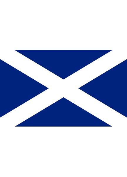 Meridian Zero Scotland St. Andrew Flag  - 30 x 45cm