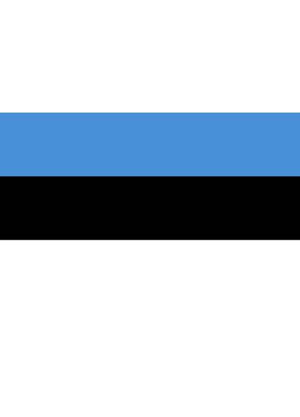 Meridian Zero Estonia Courtesy Flag - 30 x 45cm