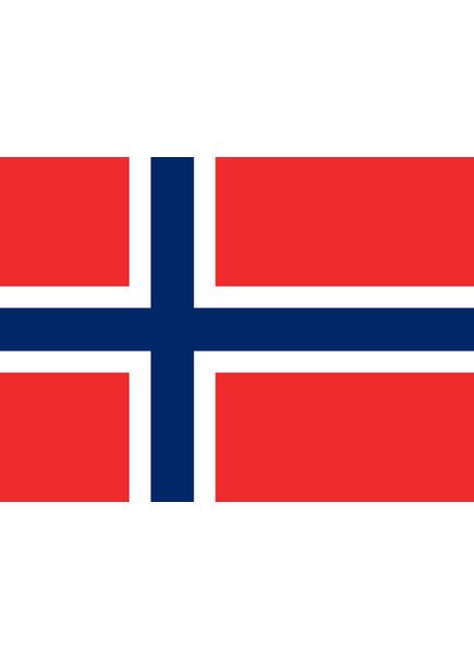 Meridian Zero Norway Courtesy Flag - 30 x 45cm