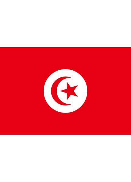 Meridian Zero Tunisia Courtesy Flag - 30 x 45cm
