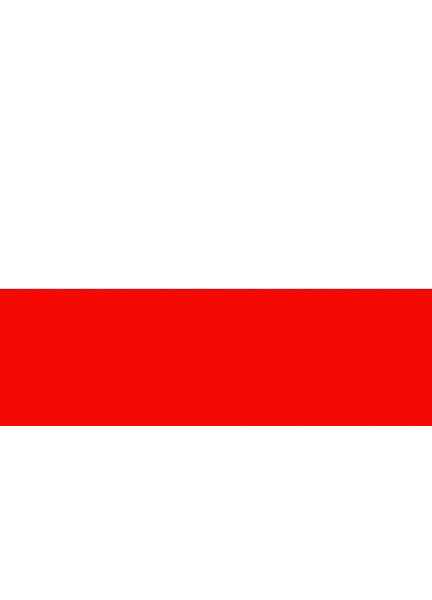 Talamex Poland Flag (30cm x 45cm)