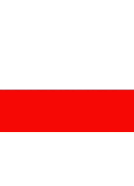 Talamex Poland Flag (30cm x 45cm)