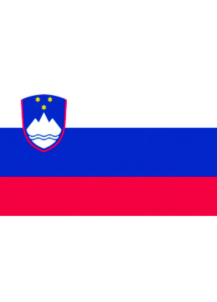 Talamex Slovenia Flag (20cm x 30cm)