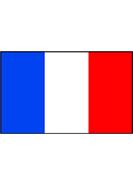 Talamex France Flag (70cm x 100cm)