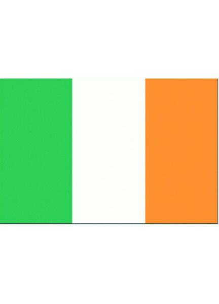 Talamex Ireland Flag (20cm x 30cm)