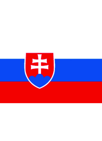 Talamex Slovakia Flag (20cm x 30cm)