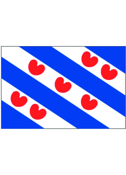 Talamex Frisian Flag (2m x 3m)